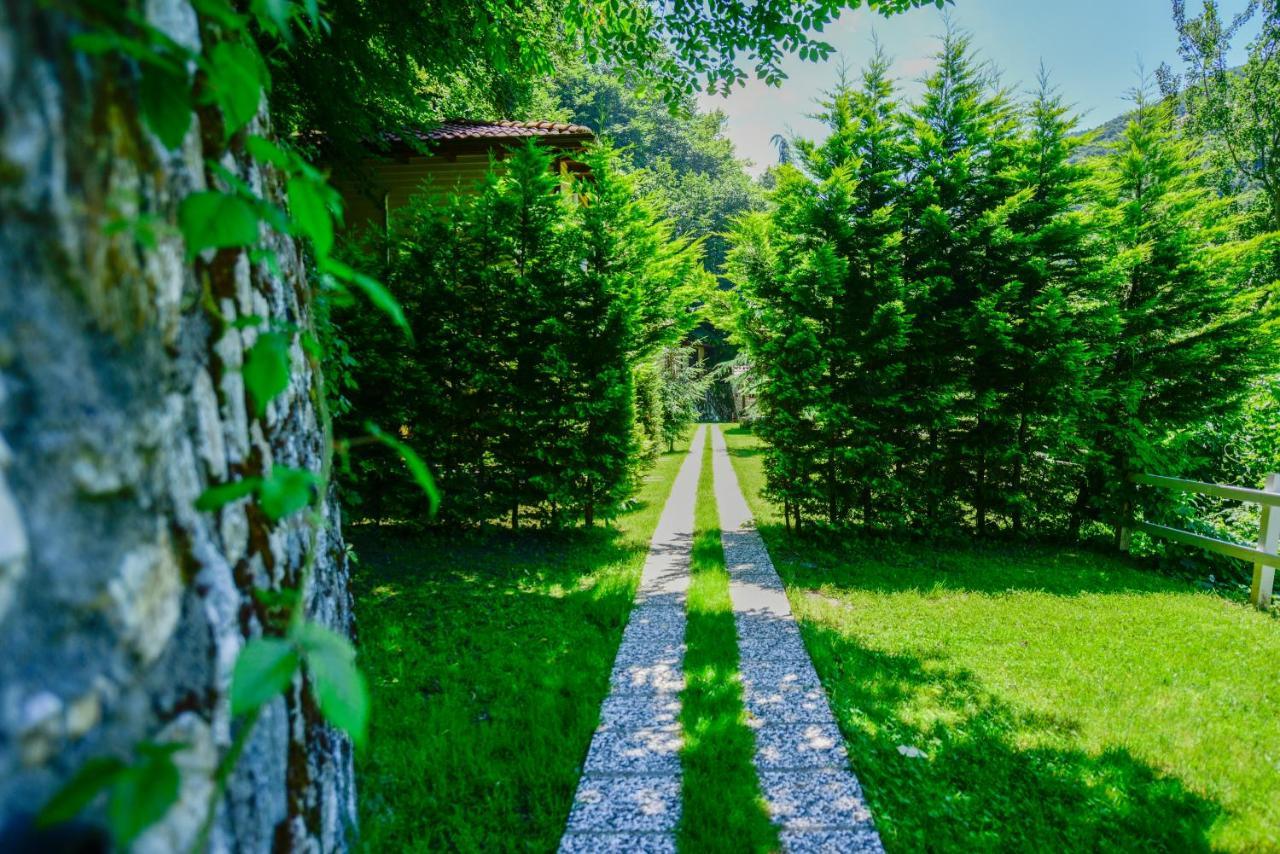 Naturkoy Sapanca Sakarya  Eksteriør bilde
